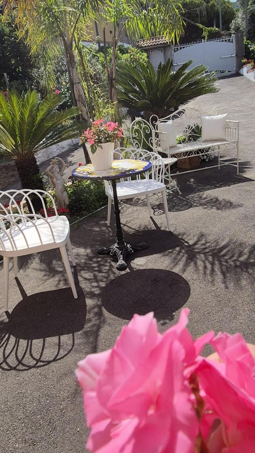 Bed and Breakfast La Vigna Del Vento Casola di Napoli Zewnętrze zdjęcie