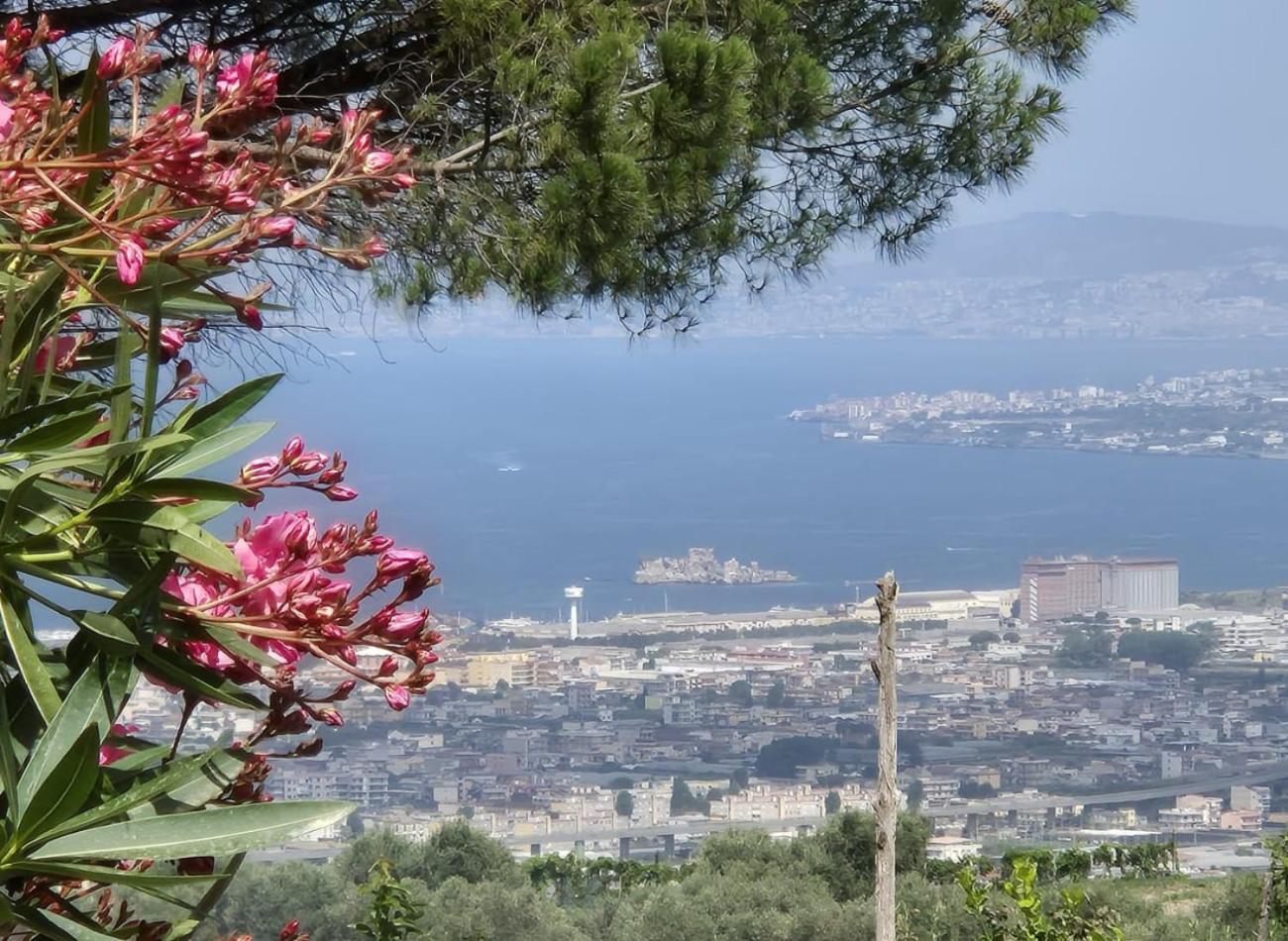 Bed and Breakfast La Vigna Del Vento Casola di Napoli Zewnętrze zdjęcie